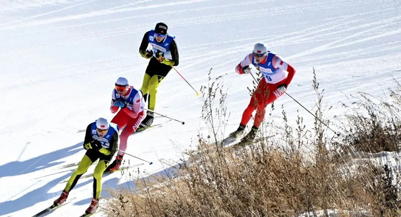 北京冬奧會有哪些項目？在哪些場館進行？