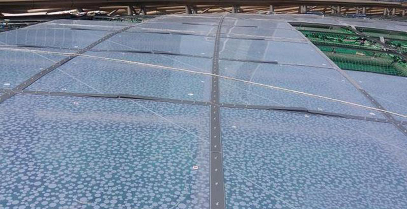 ETFE膜結構有哪些種類？ETFE膜結構是如何分類的？