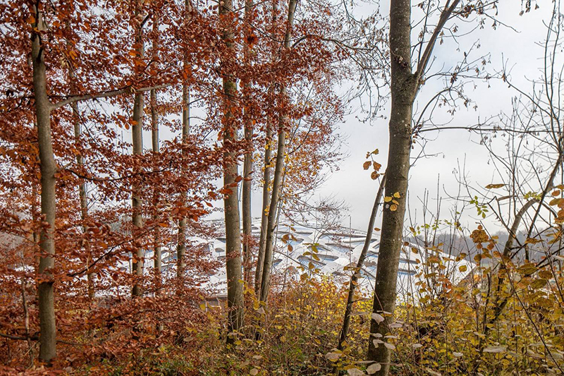 etfe膜結構 etfe膜結構