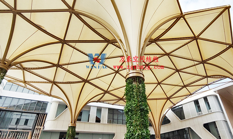 什么是膜結構 什么是膜結構