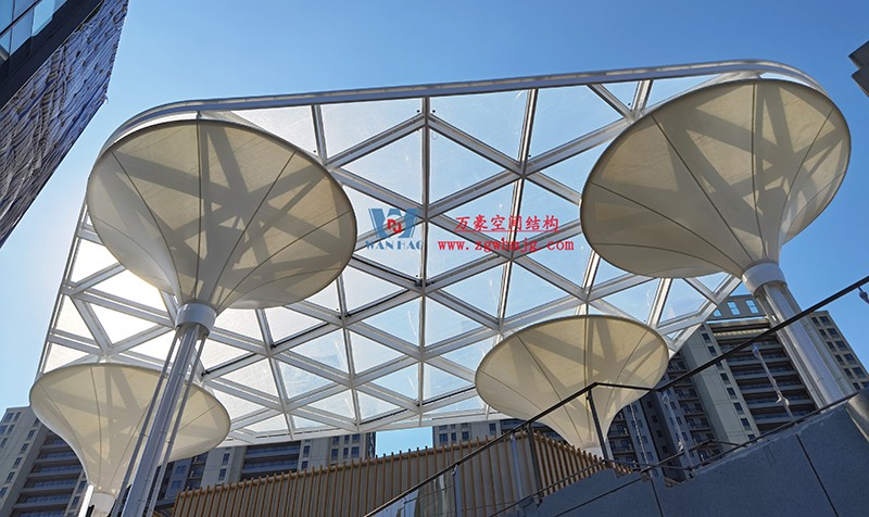 etfe膜結構 etfe膜結構