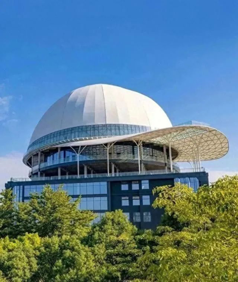 奇葩，好大一頂帽子