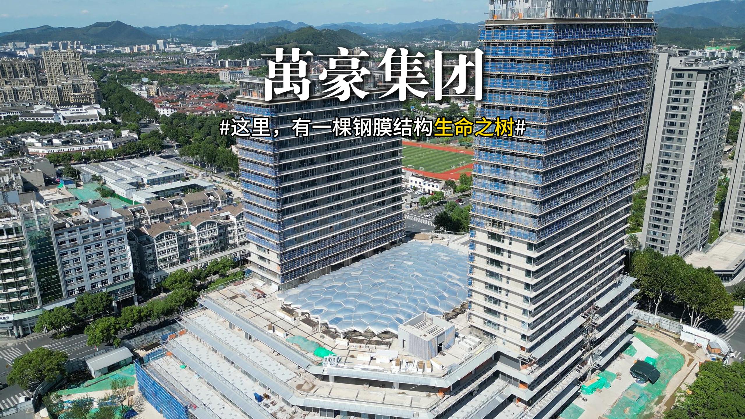 鋼膜結構組成的生命之樹